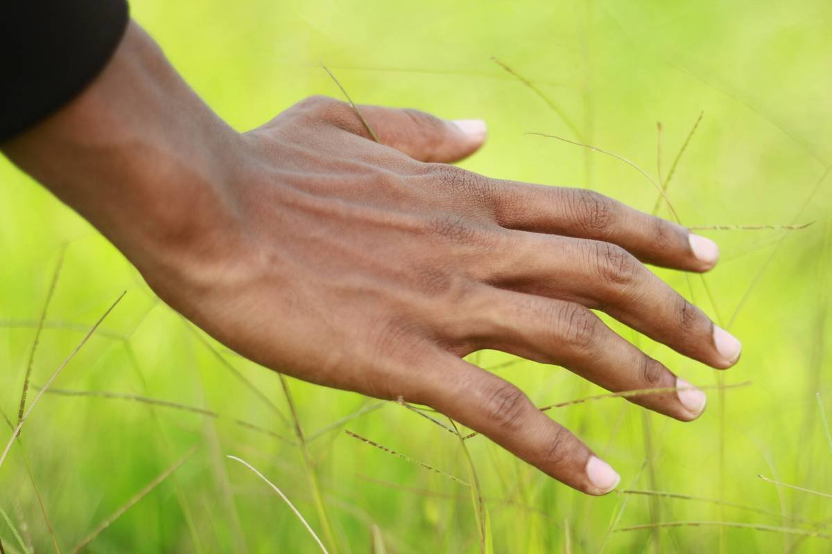 A close-up image of durable climbing gloves designed to protect hands during intense workouts