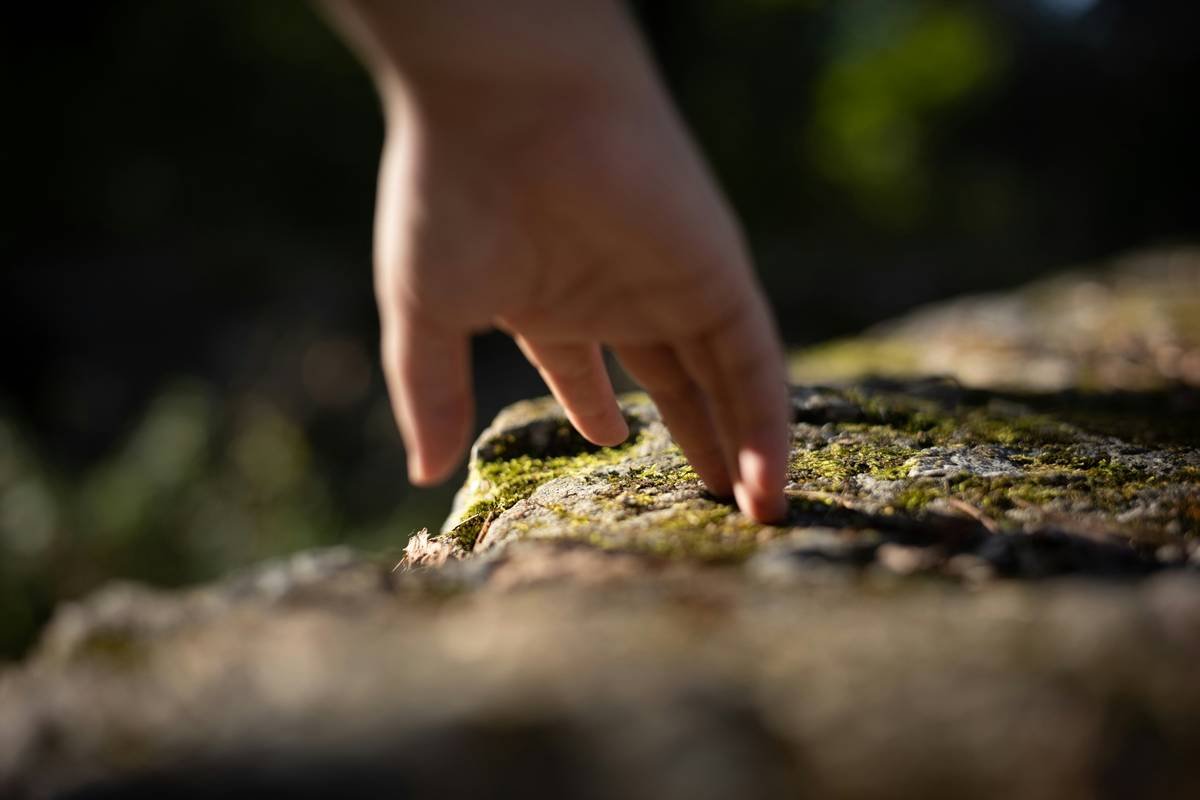 A pair of high-quality flexible climbing gloves with detailed stitching