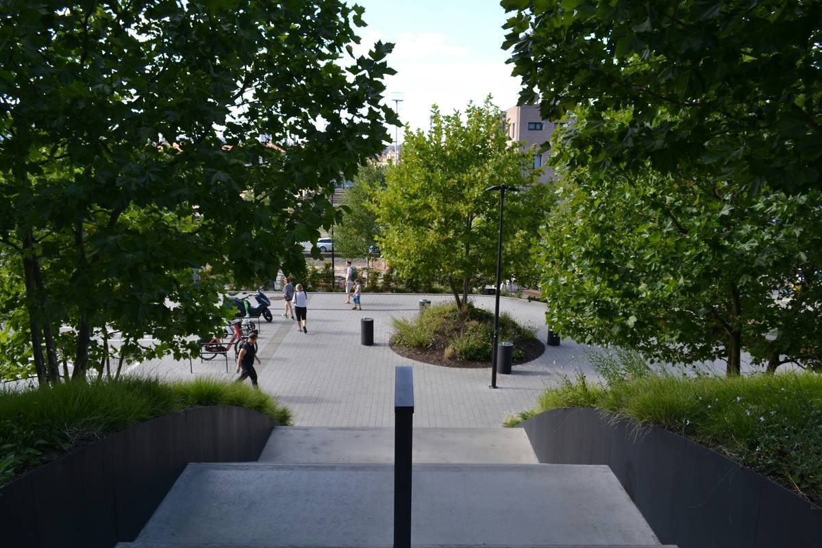 Hand Shield Communication Plans: The Secret Weapon for Weight Loss Warriors Using Climbing Gloves