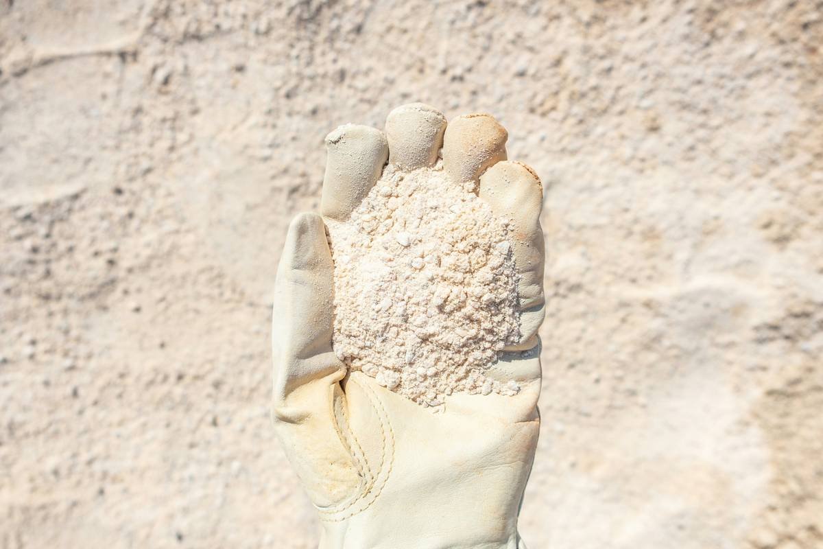 Close-up image of climbing gloves highlighting padded palms for enhanced hand comfort during climbs